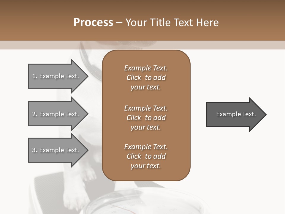 Diet Scale Veterinarian PowerPoint Template