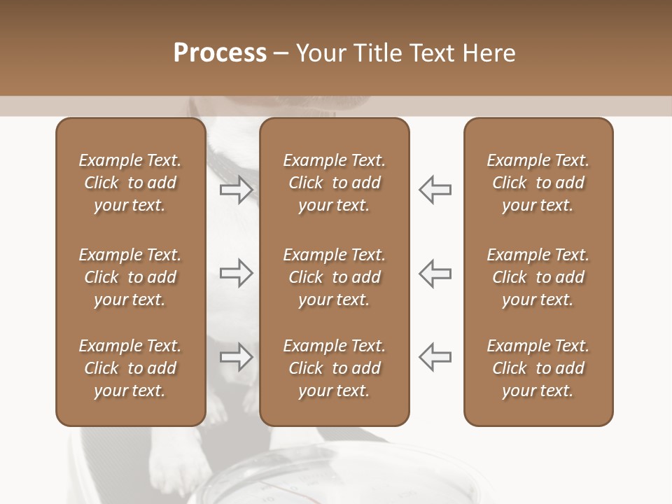 Diet Scale Veterinarian PowerPoint Template
