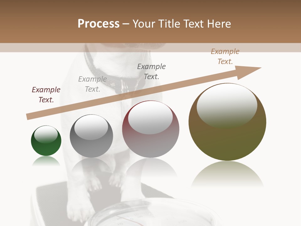 Diet Scale Veterinarian PowerPoint Template