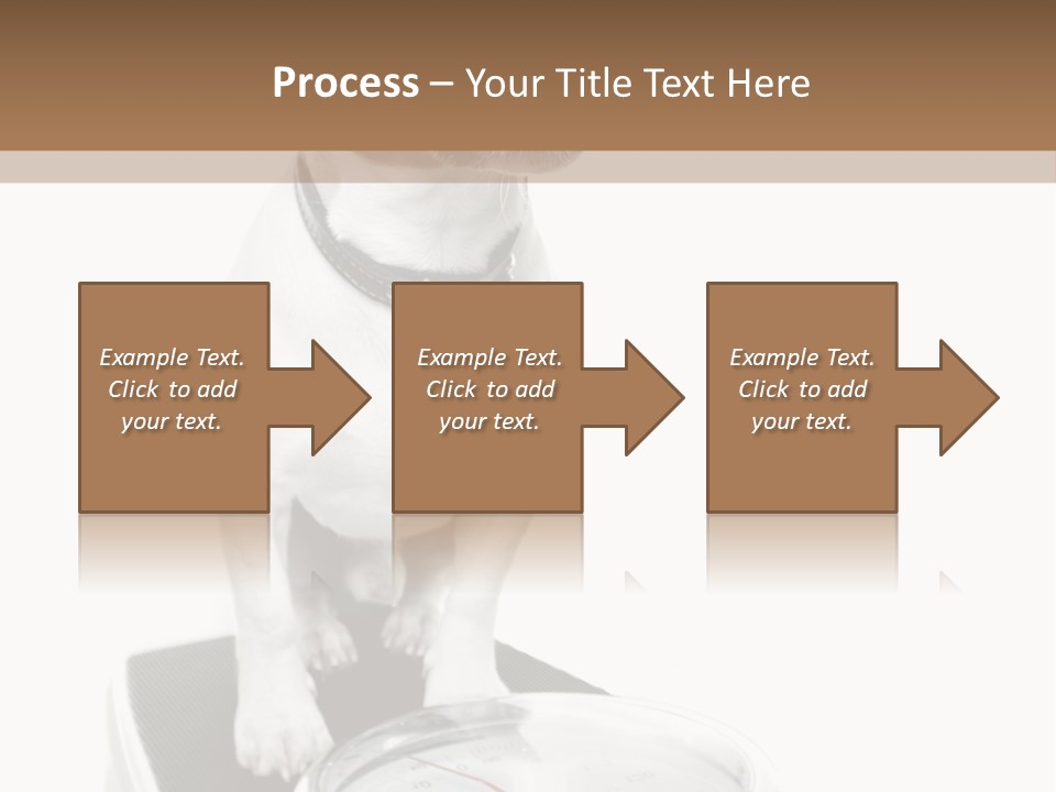 Diet Scale Veterinarian PowerPoint Template