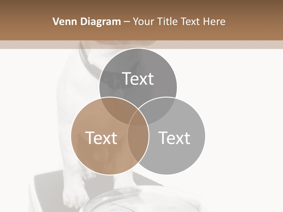 Diet Scale Veterinarian PowerPoint Template