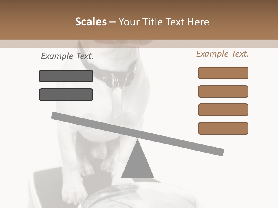 Diet Scale Veterinarian PowerPoint Template