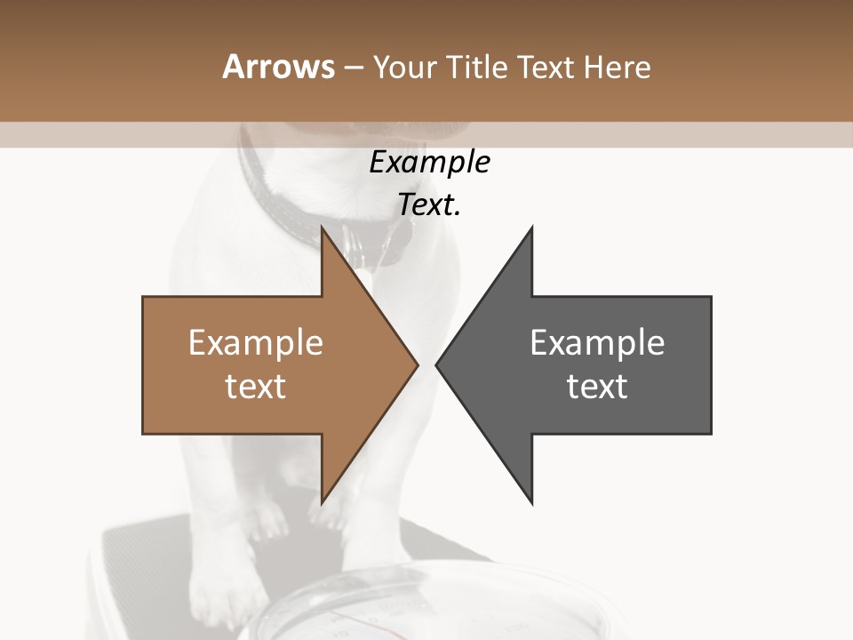 Diet Scale Veterinarian PowerPoint Template