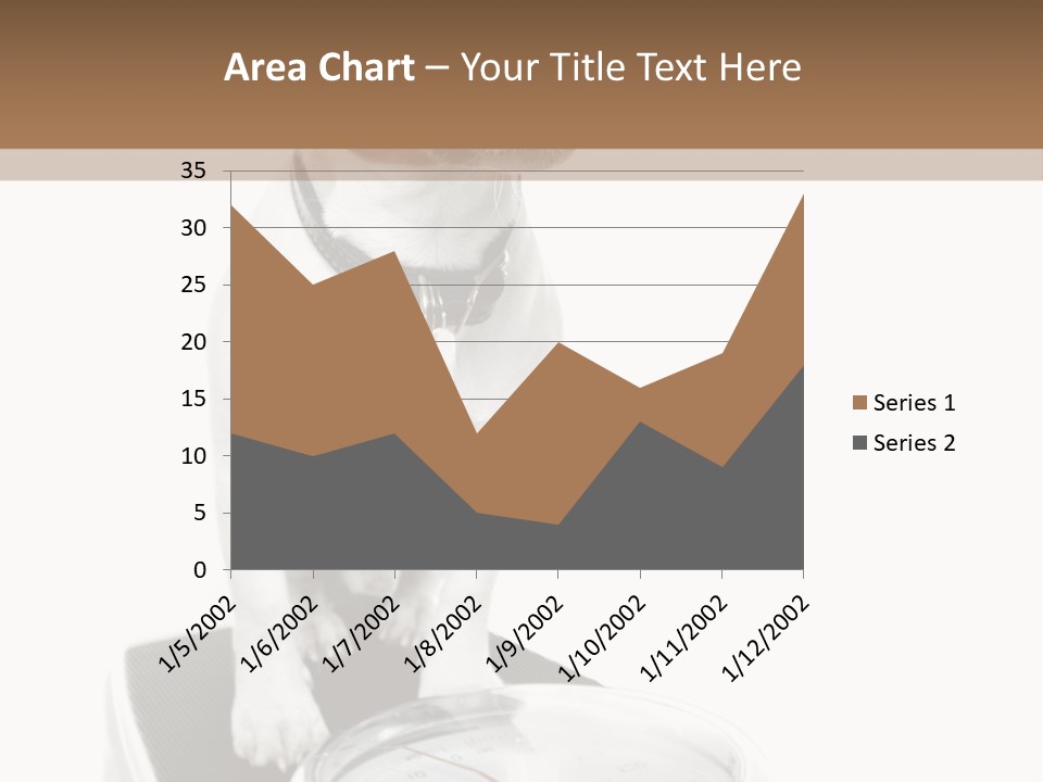 Diet Scale Veterinarian PowerPoint Template