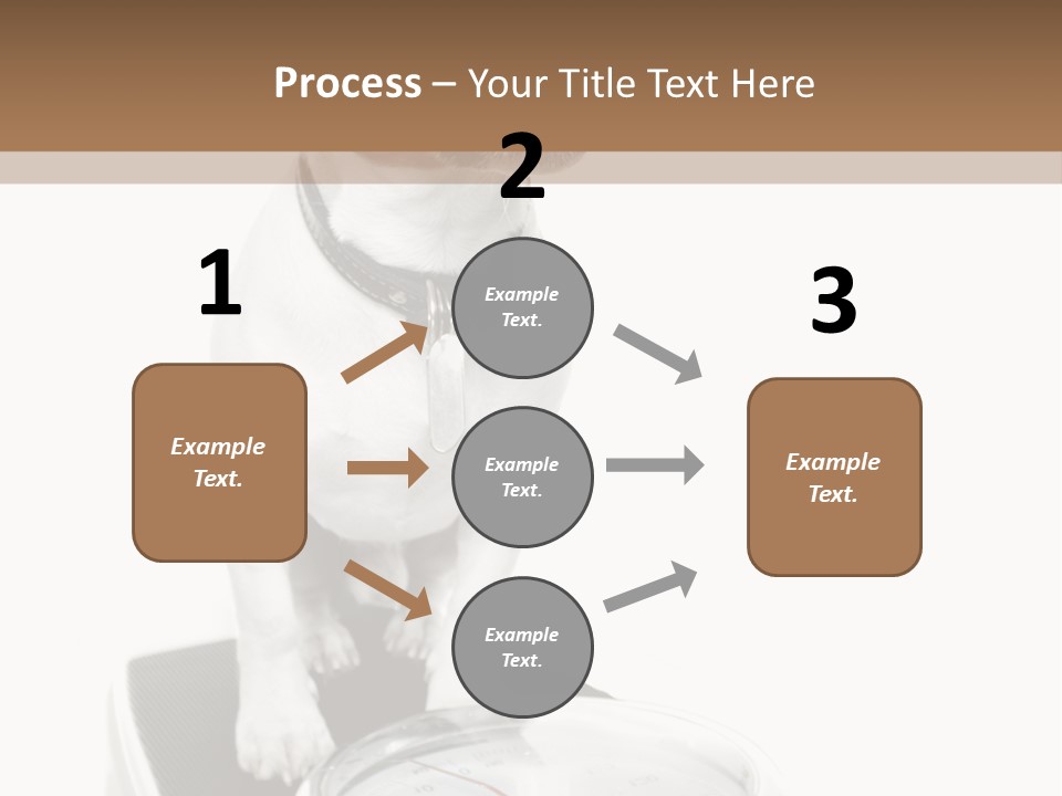Diet Scale Veterinarian PowerPoint Template