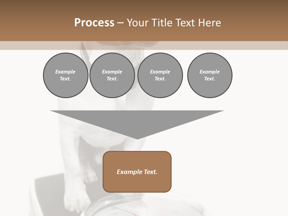 Diet Scale Veterinarian PowerPoint Template