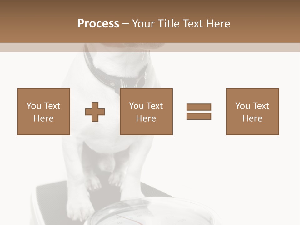 Diet Scale Veterinarian PowerPoint Template