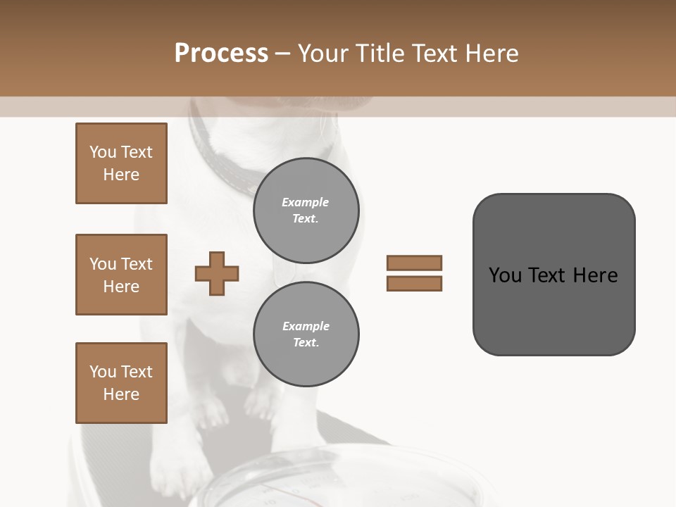 Diet Scale Veterinarian PowerPoint Template