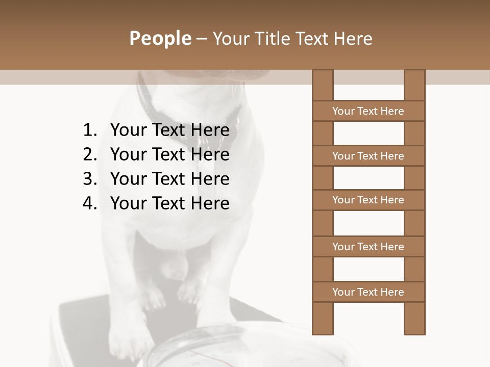 Diet Scale Veterinarian PowerPoint Template