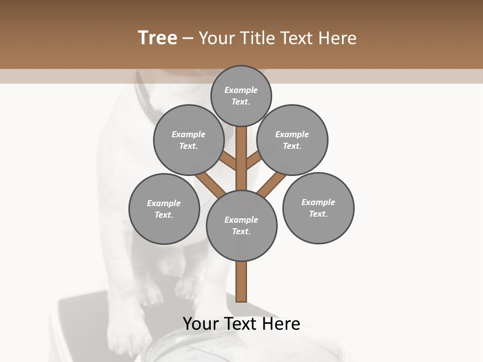 Diet Scale Veterinarian PowerPoint Template