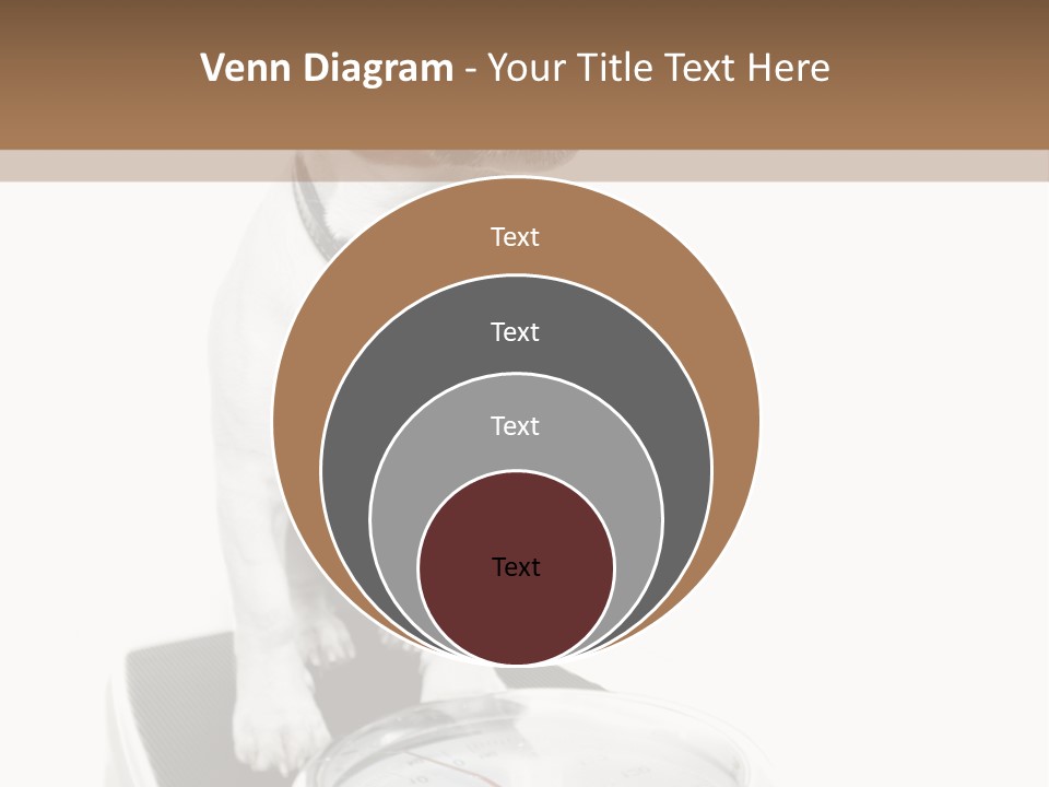 Diet Scale Veterinarian PowerPoint Template