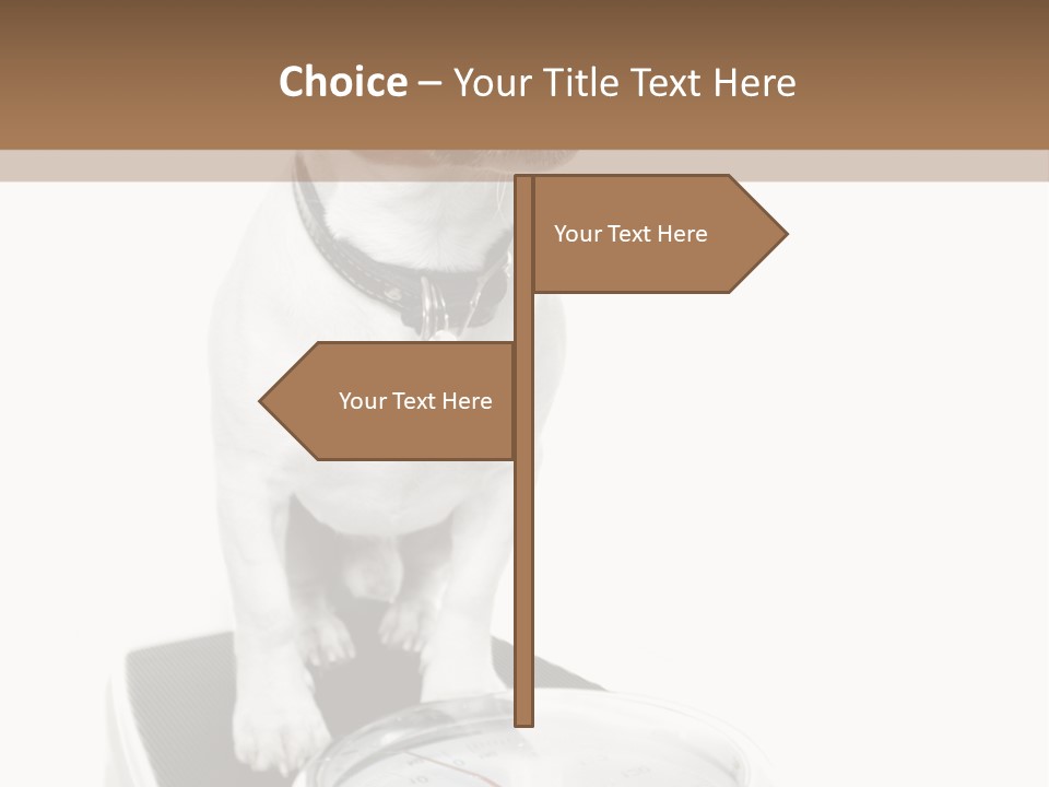 Diet Scale Veterinarian PowerPoint Template