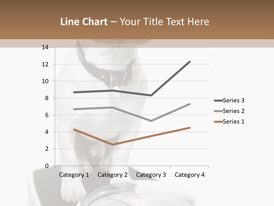 Diet Scale Veterinarian PowerPoint Template