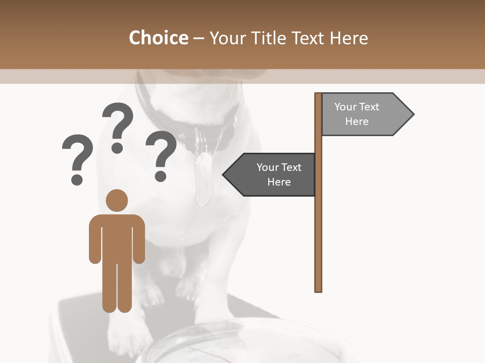 Diet Scale Veterinarian PowerPoint Template