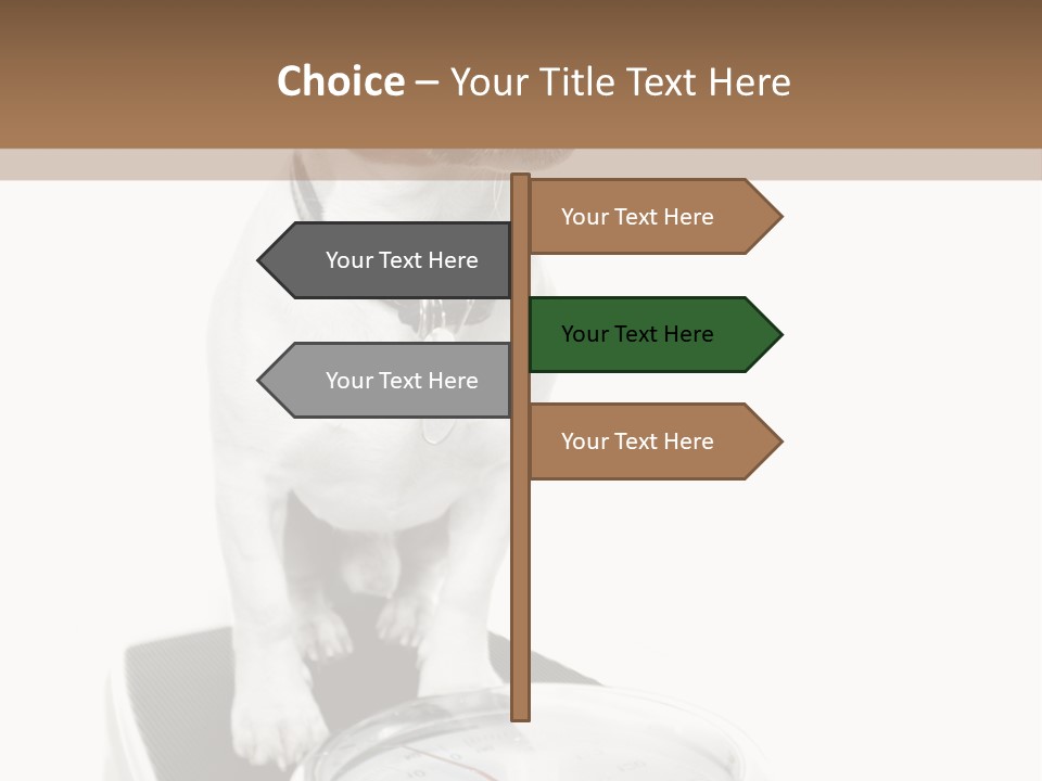 Diet Scale Veterinarian PowerPoint Template