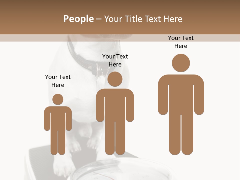 Diet Scale Veterinarian PowerPoint Template
