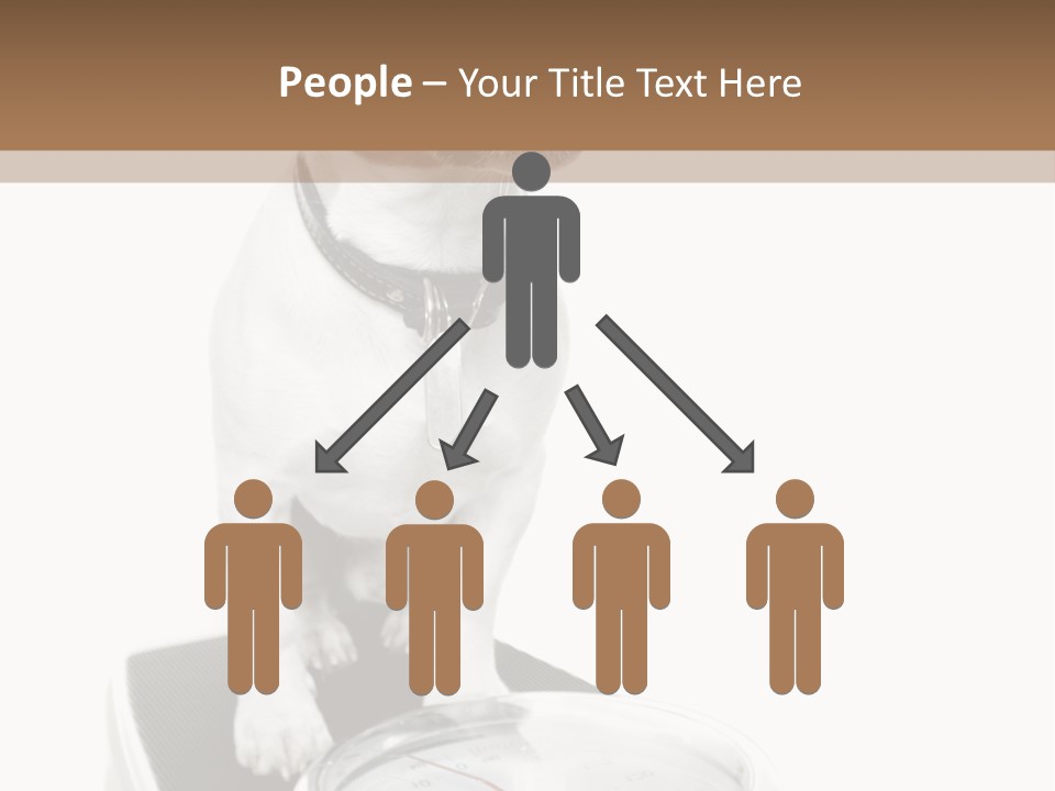 Diet Scale Veterinarian PowerPoint Template