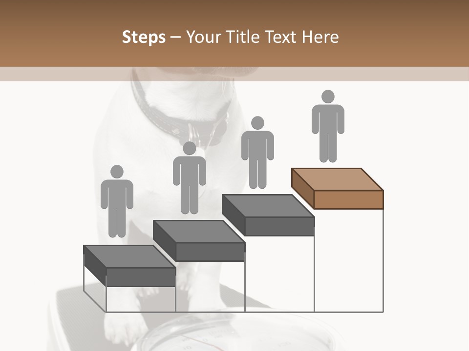 Diet Scale Veterinarian PowerPoint Template