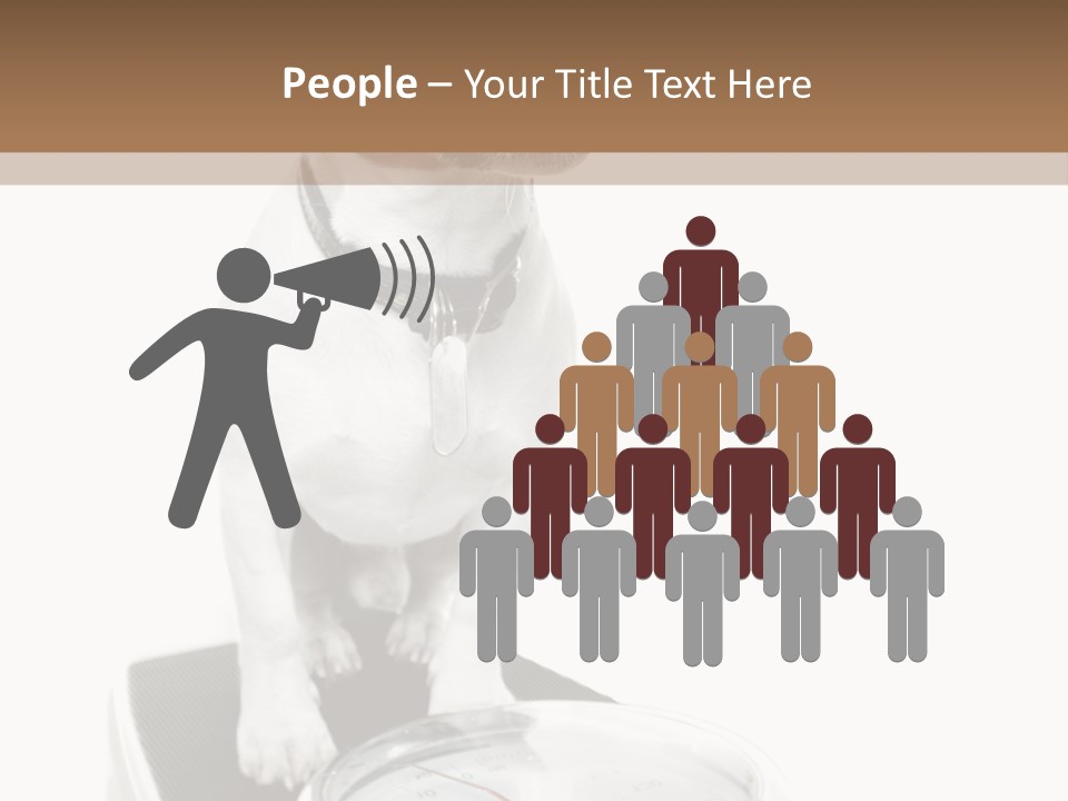 Diet Scale Veterinarian PowerPoint Template