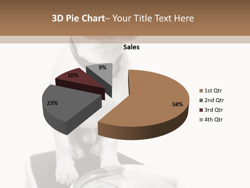 Diet Scale Veterinarian PowerPoint Template