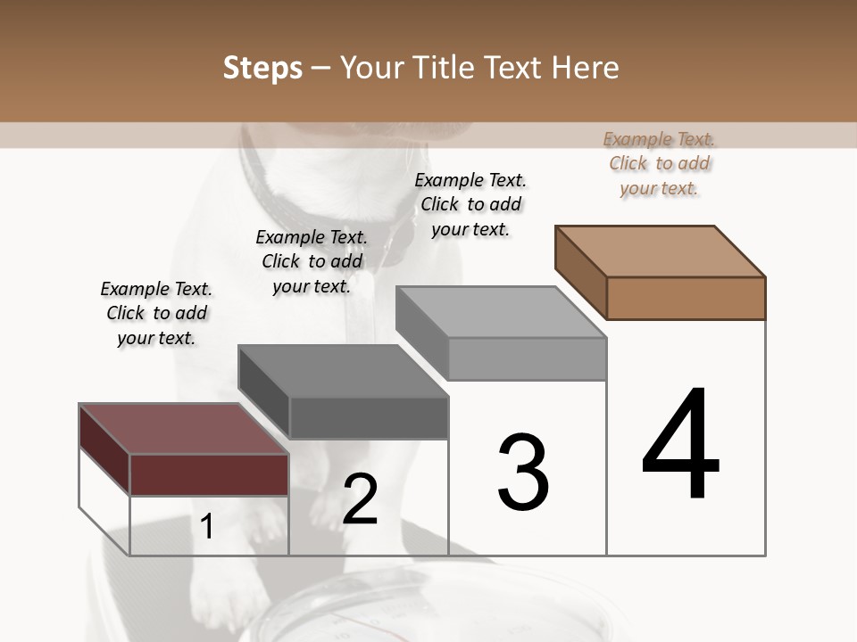Diet Scale Veterinarian PowerPoint Template