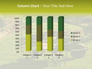 Late Summer Verdigris Embellishment PowerPoint Template