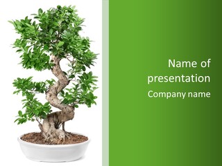 Background Foliage Shape PowerPoint Template