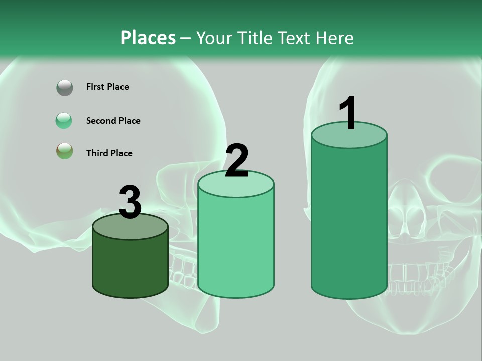 X Ray Skull Anatomy PowerPoint Template