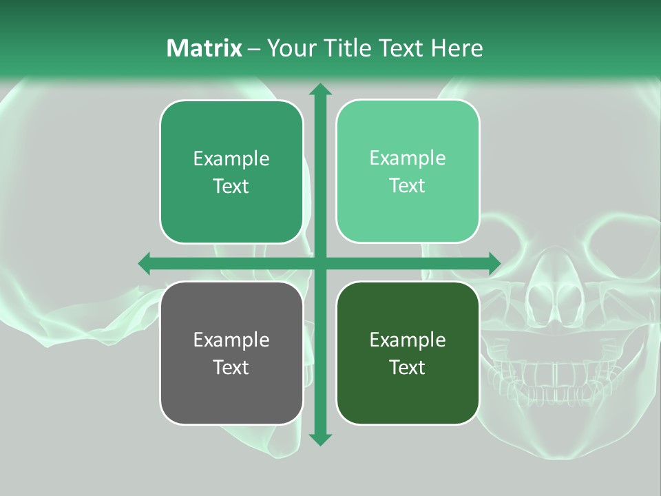 X Ray Skull Anatomy PowerPoint Template