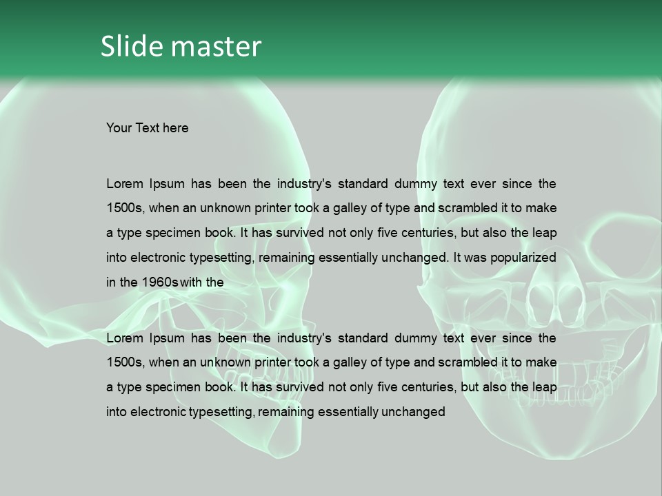 X Ray Skull Anatomy PowerPoint Template
