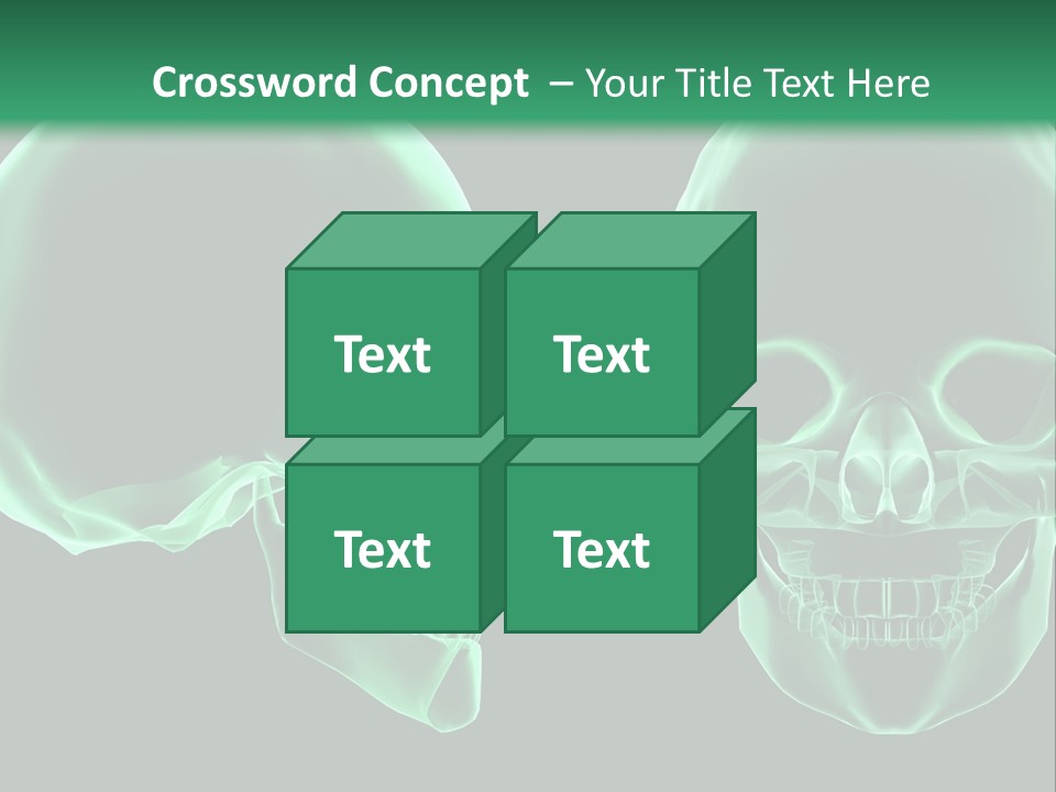 X Ray Skull Anatomy PowerPoint Template