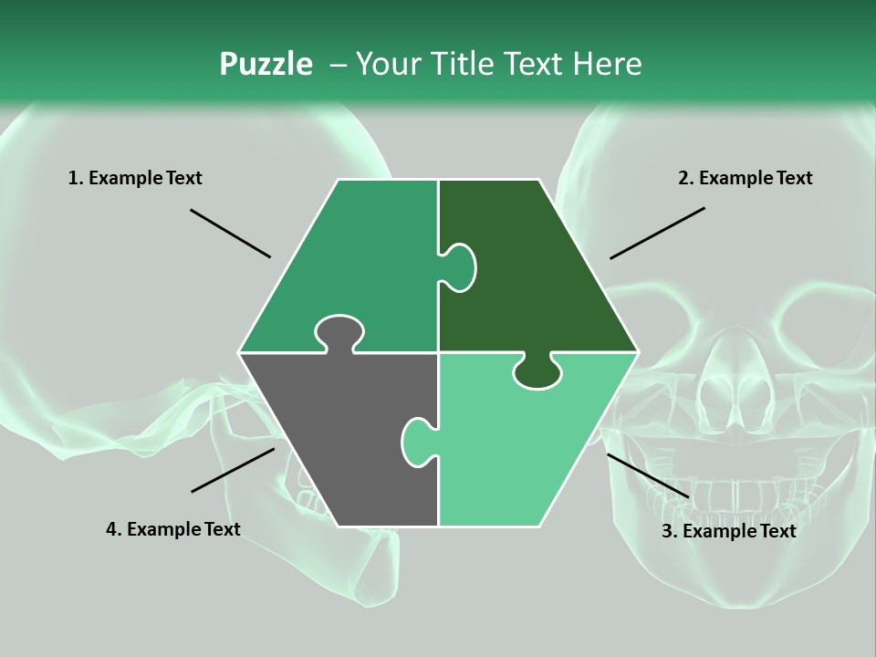 X Ray Skull Anatomy PowerPoint Template