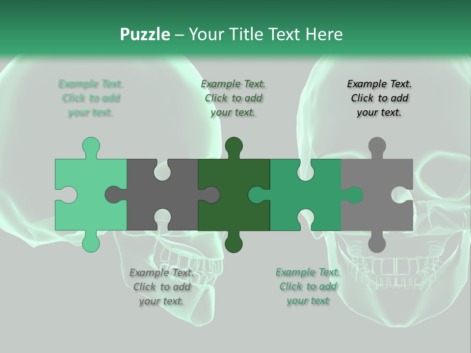 X Ray Skull Anatomy PowerPoint Template