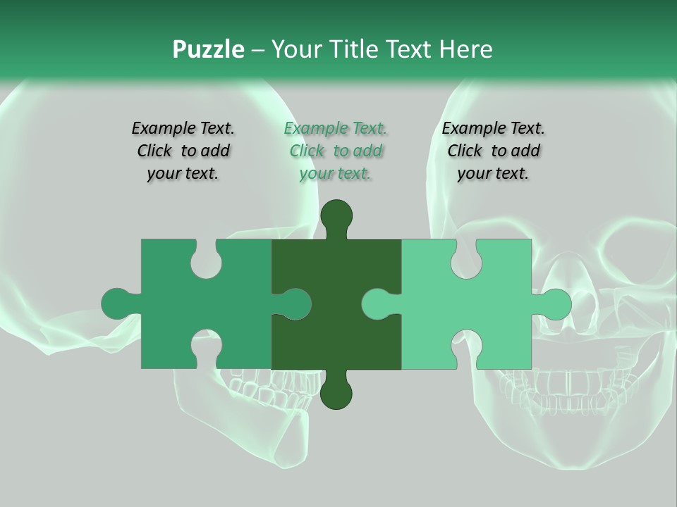 X Ray Skull Anatomy PowerPoint Template