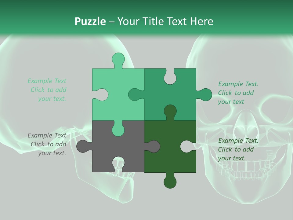 X Ray Skull Anatomy PowerPoint Template