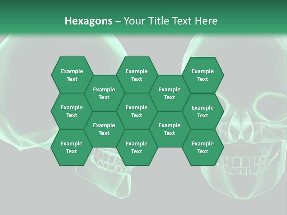 X Ray Skull Anatomy PowerPoint Template