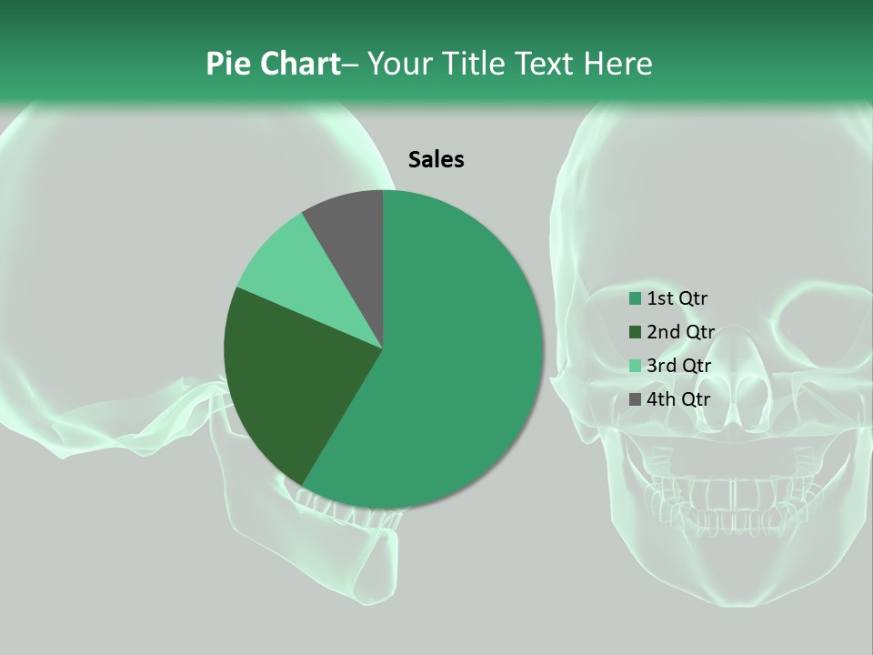 X Ray Skull Anatomy PowerPoint Template