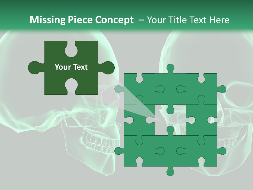 X Ray Skull Anatomy PowerPoint Template