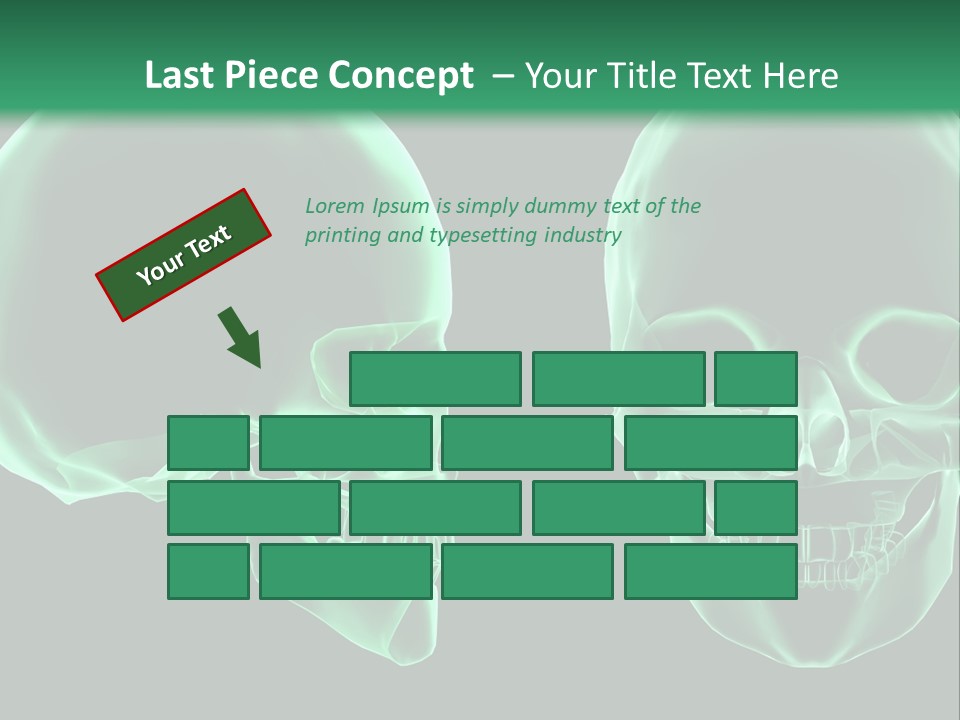 X Ray Skull Anatomy PowerPoint Template