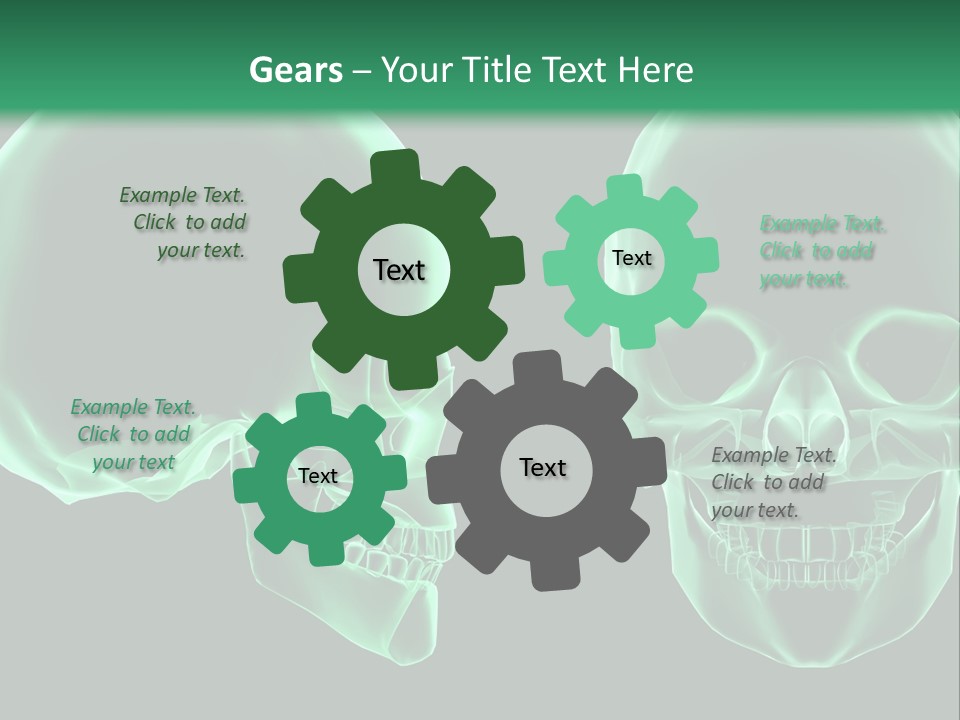 X Ray Skull Anatomy PowerPoint Template