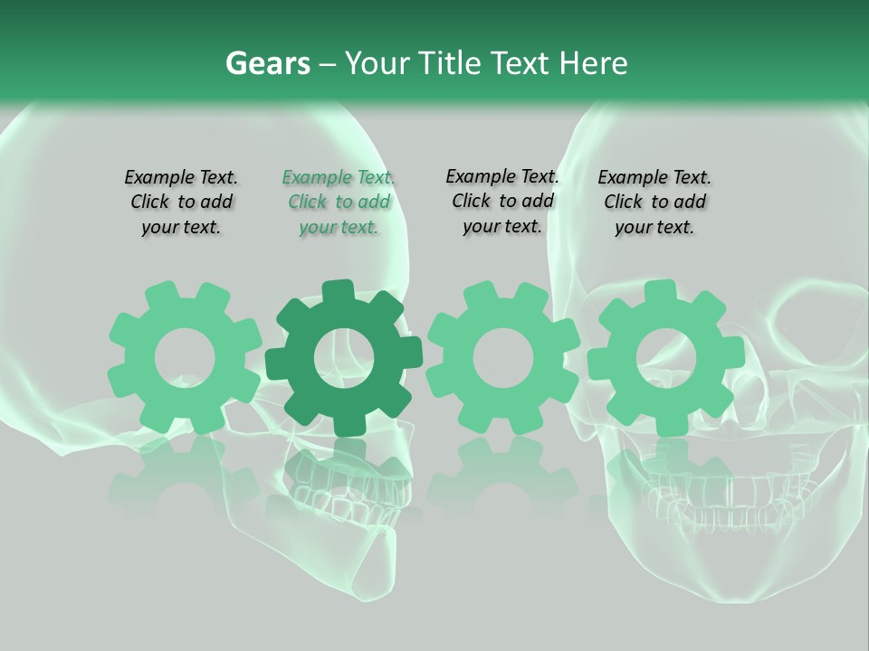 X Ray Skull Anatomy PowerPoint Template