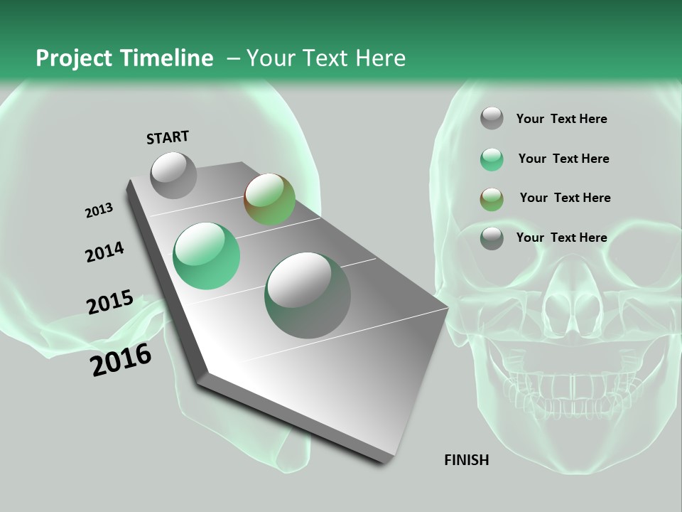 X Ray Skull Anatomy PowerPoint Template
