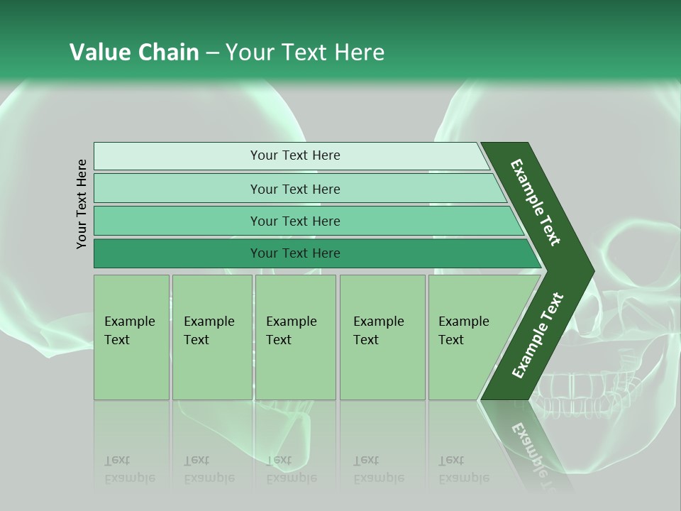 X Ray Skull Anatomy PowerPoint Template