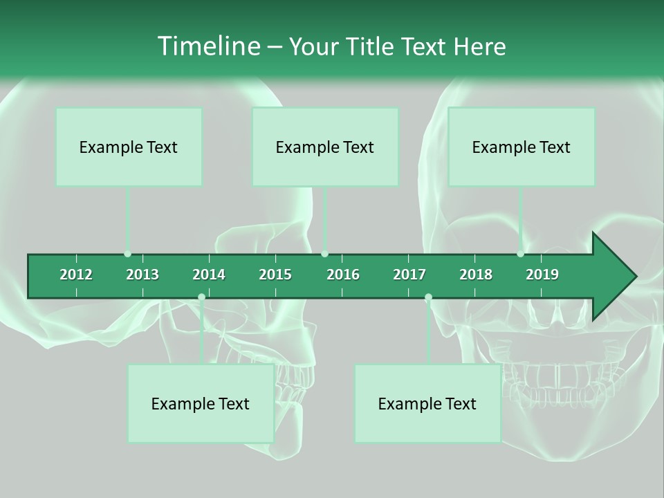 X Ray Skull Anatomy PowerPoint Template