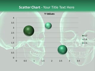 X Ray Skull Anatomy PowerPoint Template