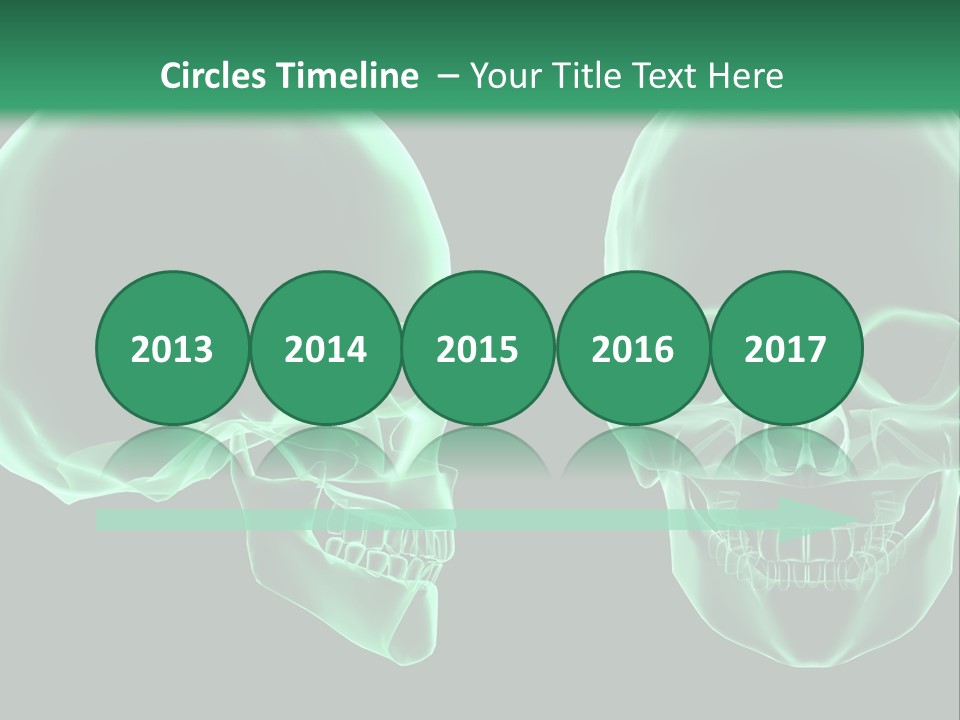 X Ray Skull Anatomy PowerPoint Template