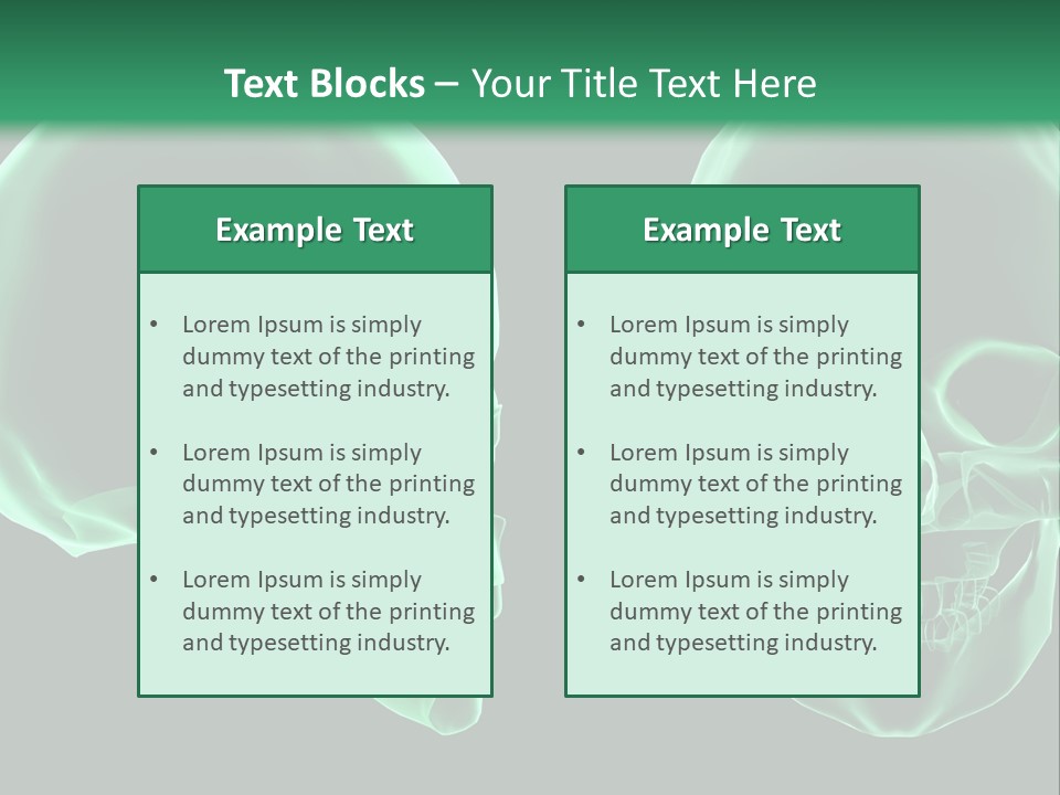 X Ray Skull Anatomy PowerPoint Template