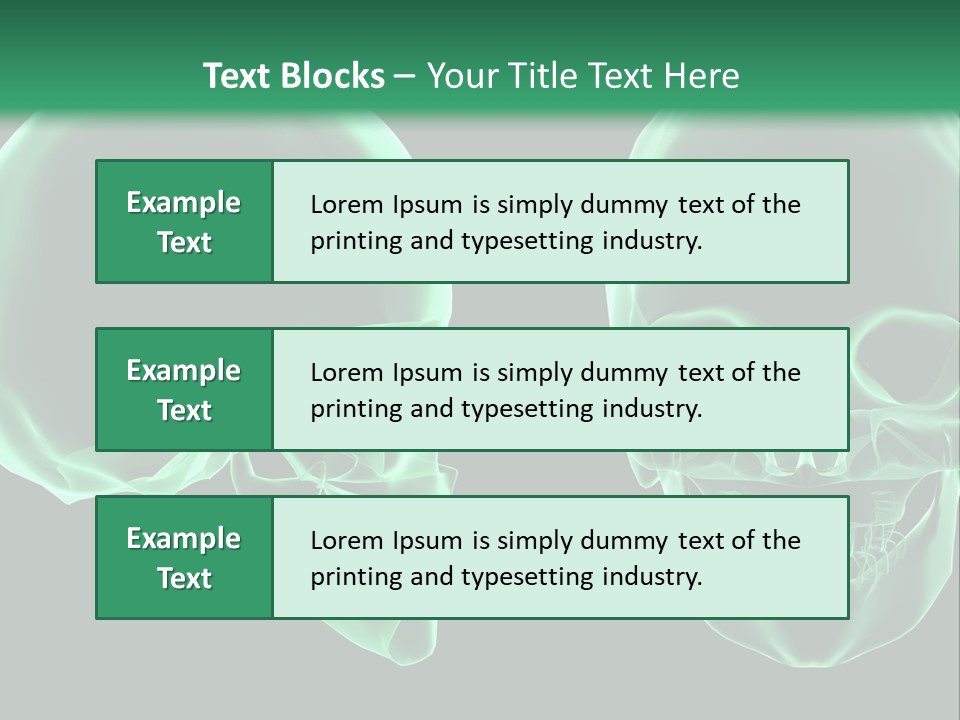X Ray Skull Anatomy PowerPoint Template