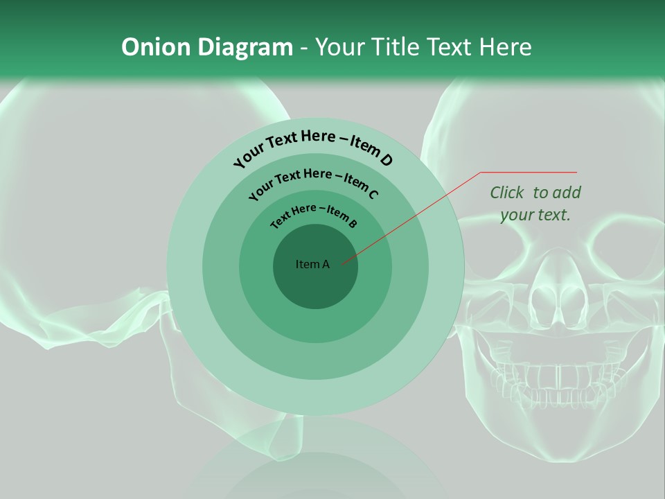 X Ray Skull Anatomy PowerPoint Template