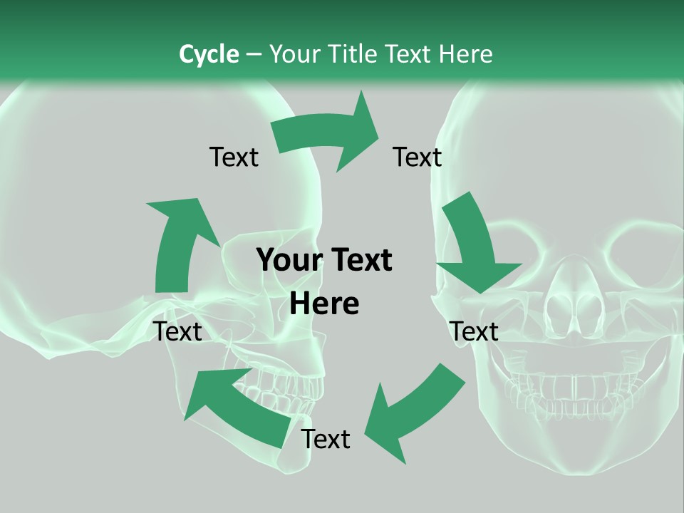 X Ray Skull Anatomy PowerPoint Template